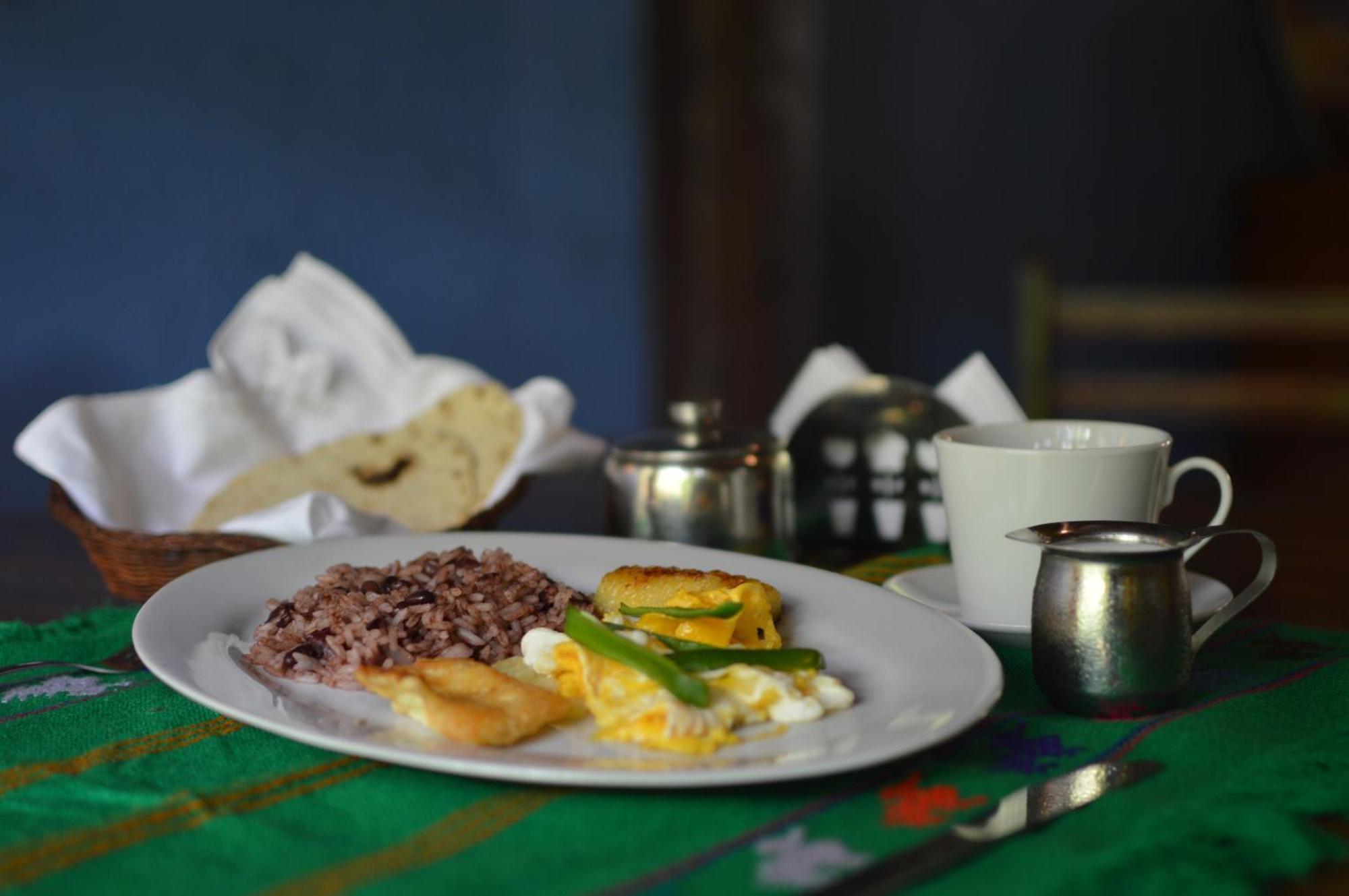 Hostal Fuente Castalia, B Y B León Zewnętrze zdjęcie