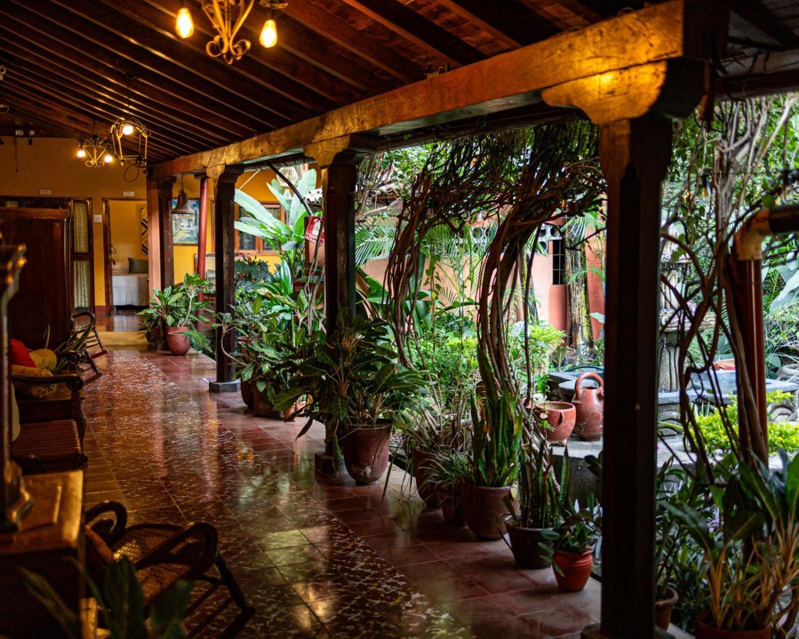 Hostal Fuente Castalia, B Y B León Zewnętrze zdjęcie